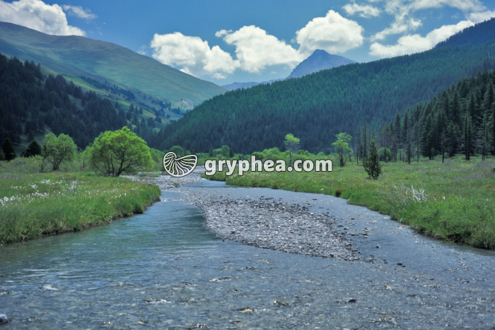 Transport des alluvions et bancs de sable dans une rivière - gryphea.org